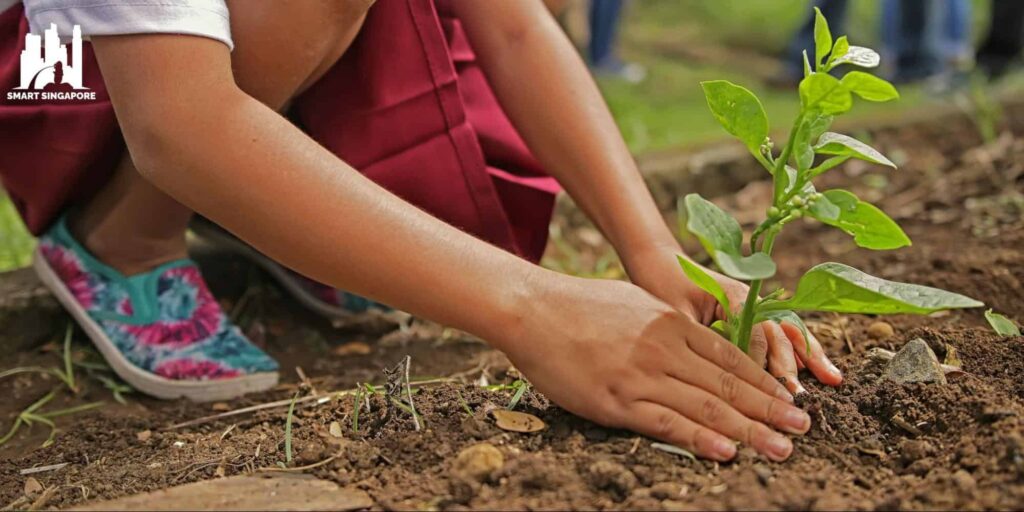 November 7 is National Tree Planting Day in Singapore