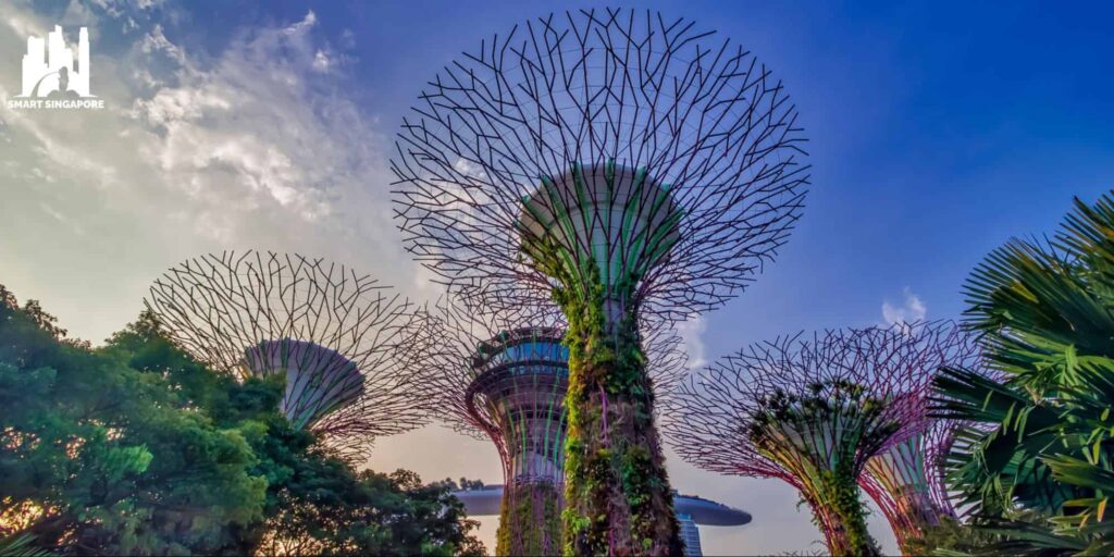 Singapore's Gardens by the Bay is the world's tallest indoor waterfall