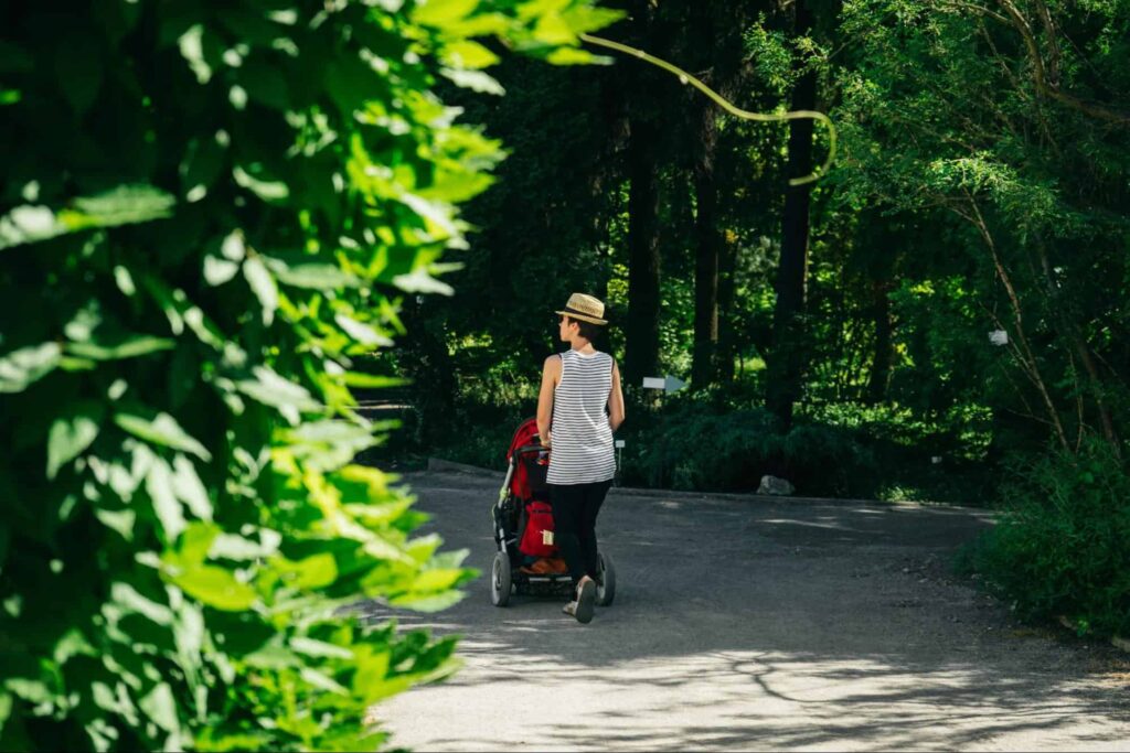 Rental Services at Singapore Zoo