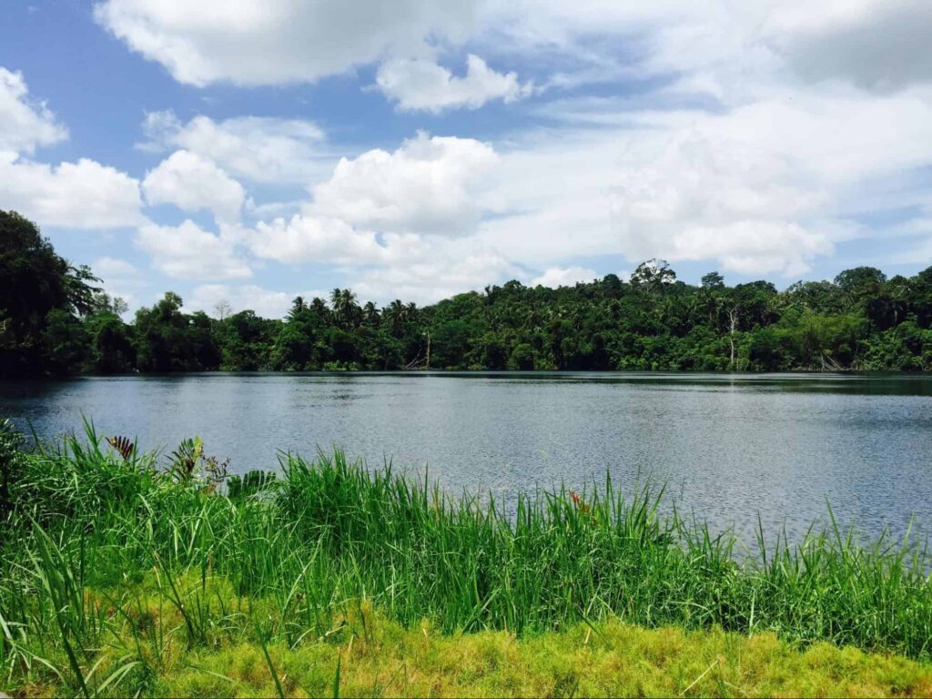 How long is Ulu Sembawang Park Connector