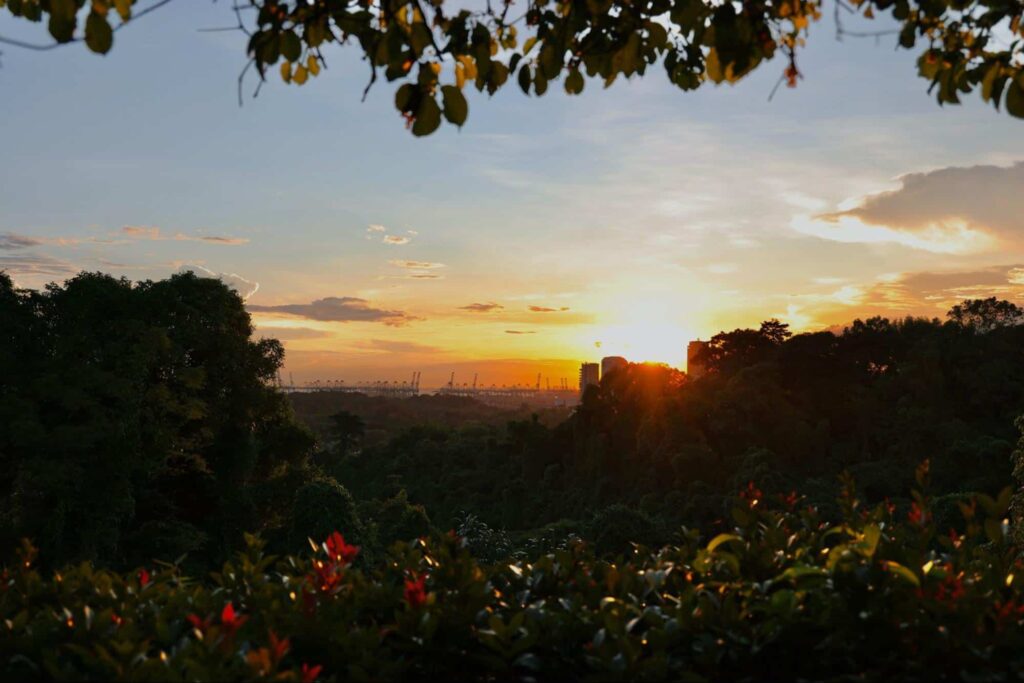 Mount Faber Loop