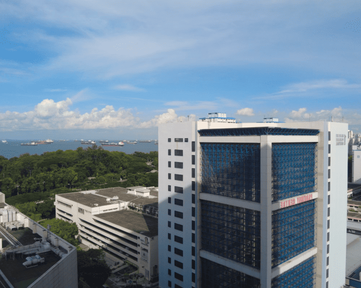 Real Estate Prices in Malaysia vs. Singapore