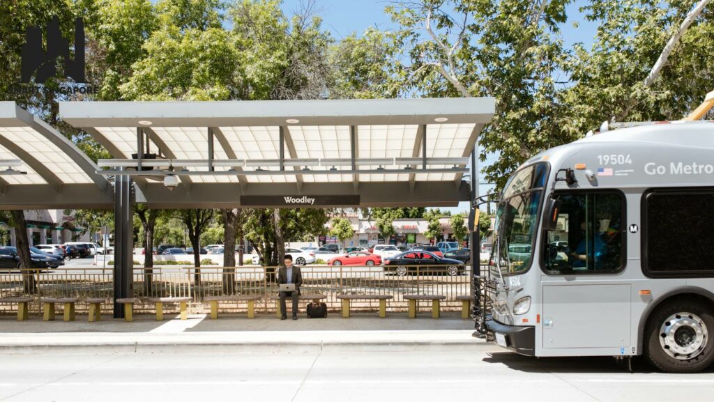 Trunk and Feeder Buses